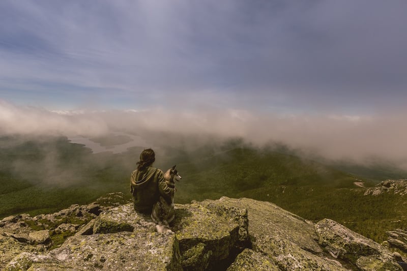 Dog and owner sitting on mountaintop