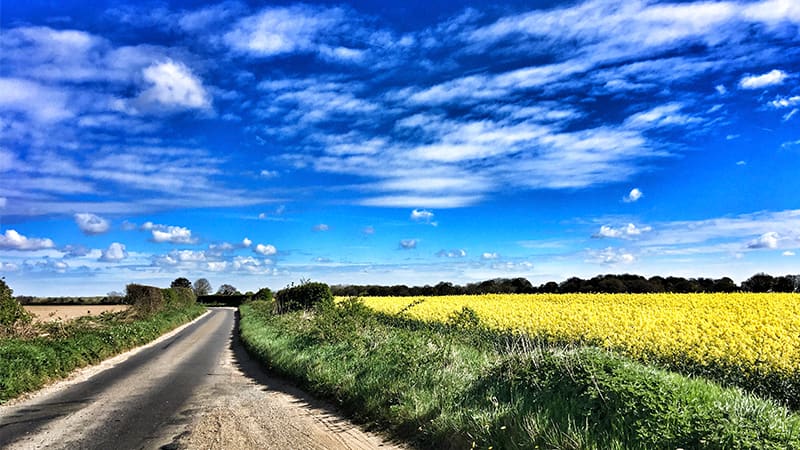 Rural road