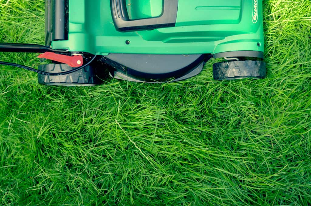 lawn mower on grass