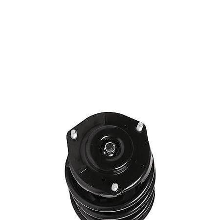 PRT Complete Strut Assembly: Includes Strut, Coil Spring and Mount, 810416
