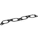 Stone Intake Manifold Gasket