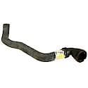 Motorcraft Radiator Hose