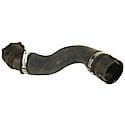 Rein Radiator Hose