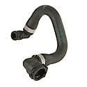 Rein Radiator Hose