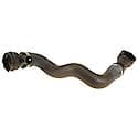 Rein Radiator Hose