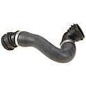 Rein Radiator Hose