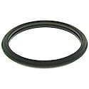 Water Outlet Gasket