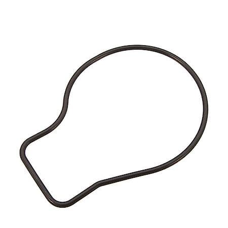 Water Pump Gasket