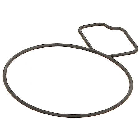 Water Pump Gasket