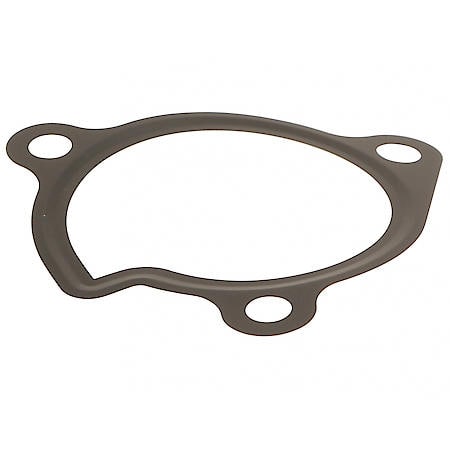 Water Pump Gasket