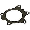 Water Pump Gasket