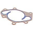 Water Pump Gasket