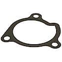 Water Pump Gasket