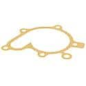 Water Pump Gasket