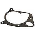 Water Pump Gasket