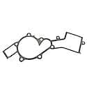 Water Pump Gasket