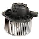 Blower Motor