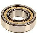 Manual Transmission Output Shaft Bearings