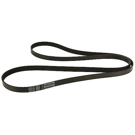 Dayco Poly Rib Serpentine Belt W1000323031DAY - Advance Auto Parts