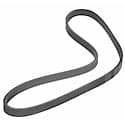 Multi Rib (Serpentine) Belt