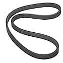 Multi Rib (Serpentine) Belt