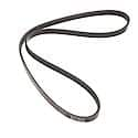 Multi Rib (Serpentine) Belt