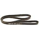 Professional V-Ribbed Serpentine Belt