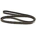 Professional V-Ribbed Serpentine Belt