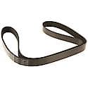 Multi Rib (Serpentine) Belt