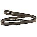 Professional V-Ribbed Serpentine Belt