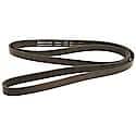 Professional V-Ribbed Serpentine Belt