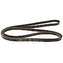 Professional V-Ribbed Serpentine Belt