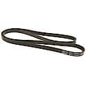 Professional V-Ribbed Serpentine Belt