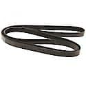 Multi Rib (Serpentine) Belt