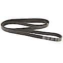 Professional V-Ribbed Serpentine Belt