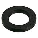 Oil Seal