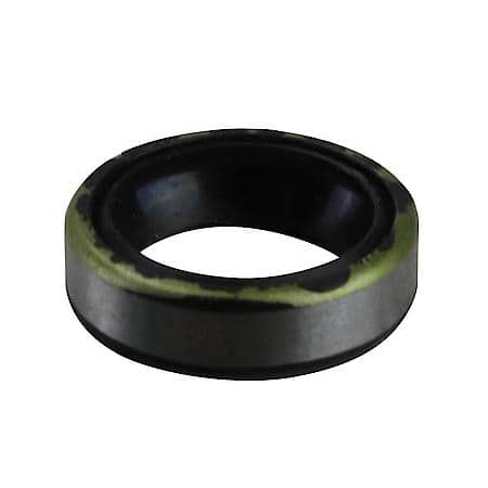 Pilot Bearing Seal