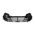 New OEM Standard Replacement Center Bumper Cover Grille