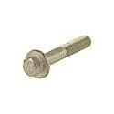 Chain Tensioner Bolt