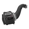 Momentum HD Cold Air Intake: Gain up to 24 Horsepower! Dry Air Filter For Easy Maintenance