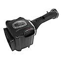 Momentum GT Cold Air Intake: Gain up to 20 Horsepower! Dry Air Filter For Easy Maintenance