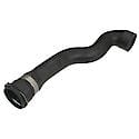 Rein Radiator Hose