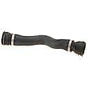 Rein Radiator Hose