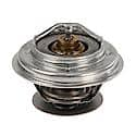 Motorcraft Thermostat