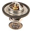 Motorcraft Thermostat