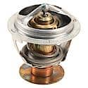 Motorcraft Thermostat