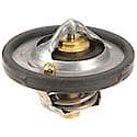 Motorcraft Thermostat