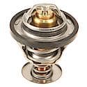 Motorcraft Thermostat