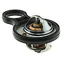 Standard Thermostat: With Seal, 195 Degrees