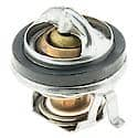 Thermostat: With Seal, 192 Degrees